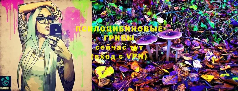 Галлюциногенные грибы Magic Shrooms  hydra tor  Алексеевка 